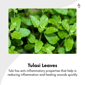 Tulasi Turmeric Blend - The Ancient Secret to Immunity & Pain Relief - 100g e 3.53 oz.
