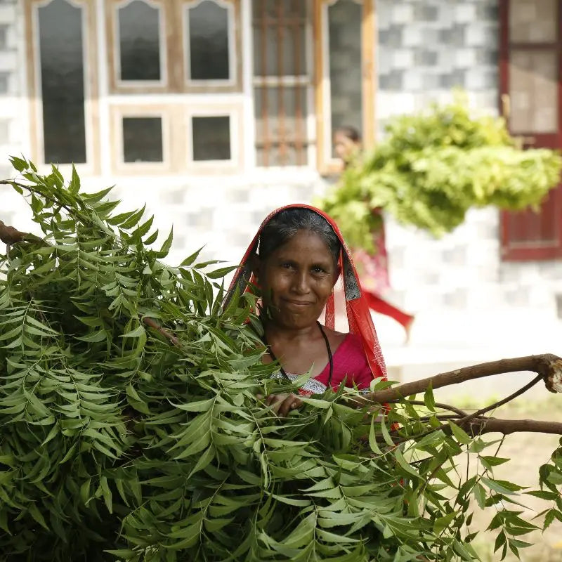 Direct-from-Farmers-to-Your-Doorstep Bilvam Jaganmaata Herbals Pvt. Ltd.