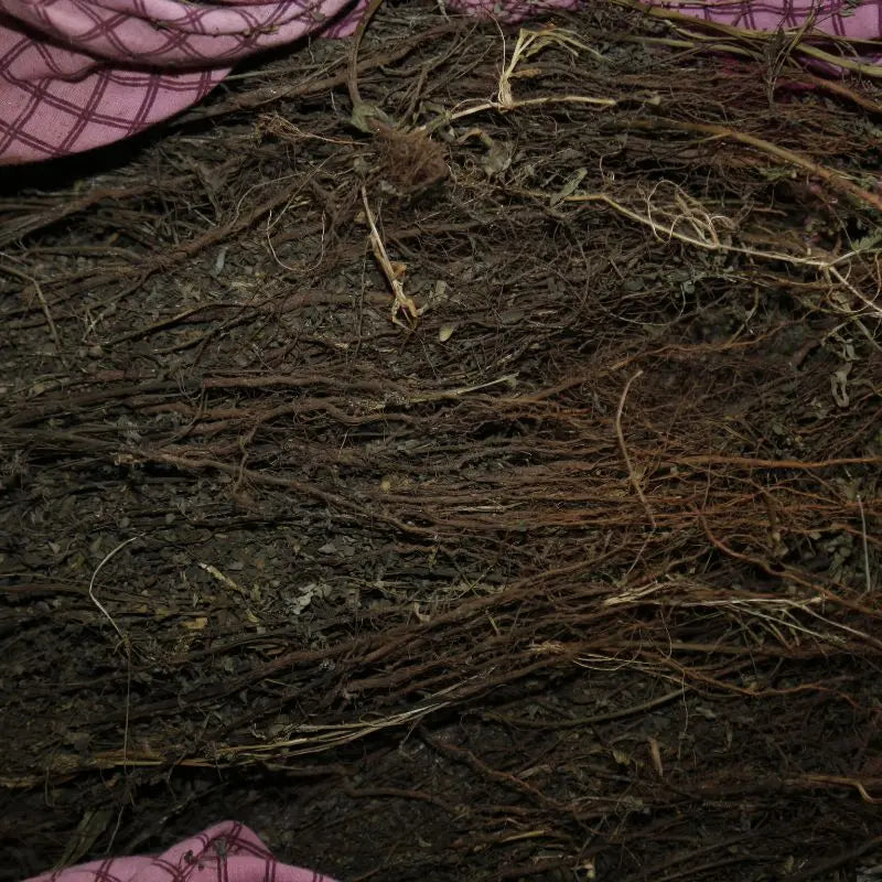 Pure-and-Traditionally-Made-Products Bilvam Jaganmaata Herbals Pvt. Ltd.