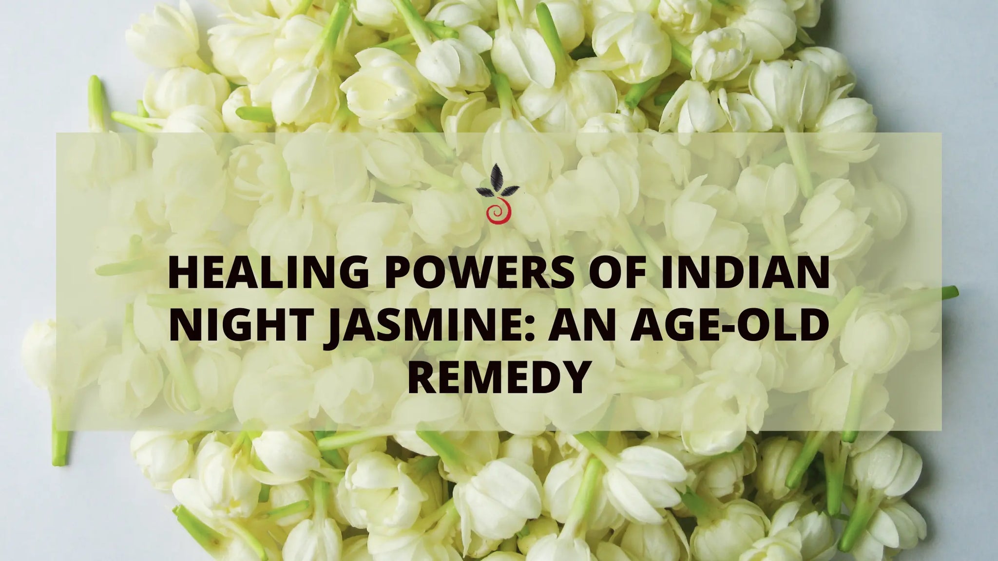 Medicinal-benefits-of-Indian-Night-Jasmine Bilvam Jaganmaata Herbals Pvt. Ltd.