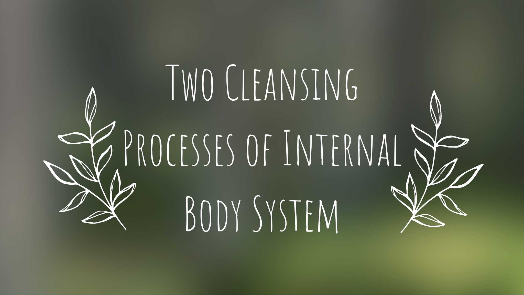 Two Cleansing Processes of Internal Body System