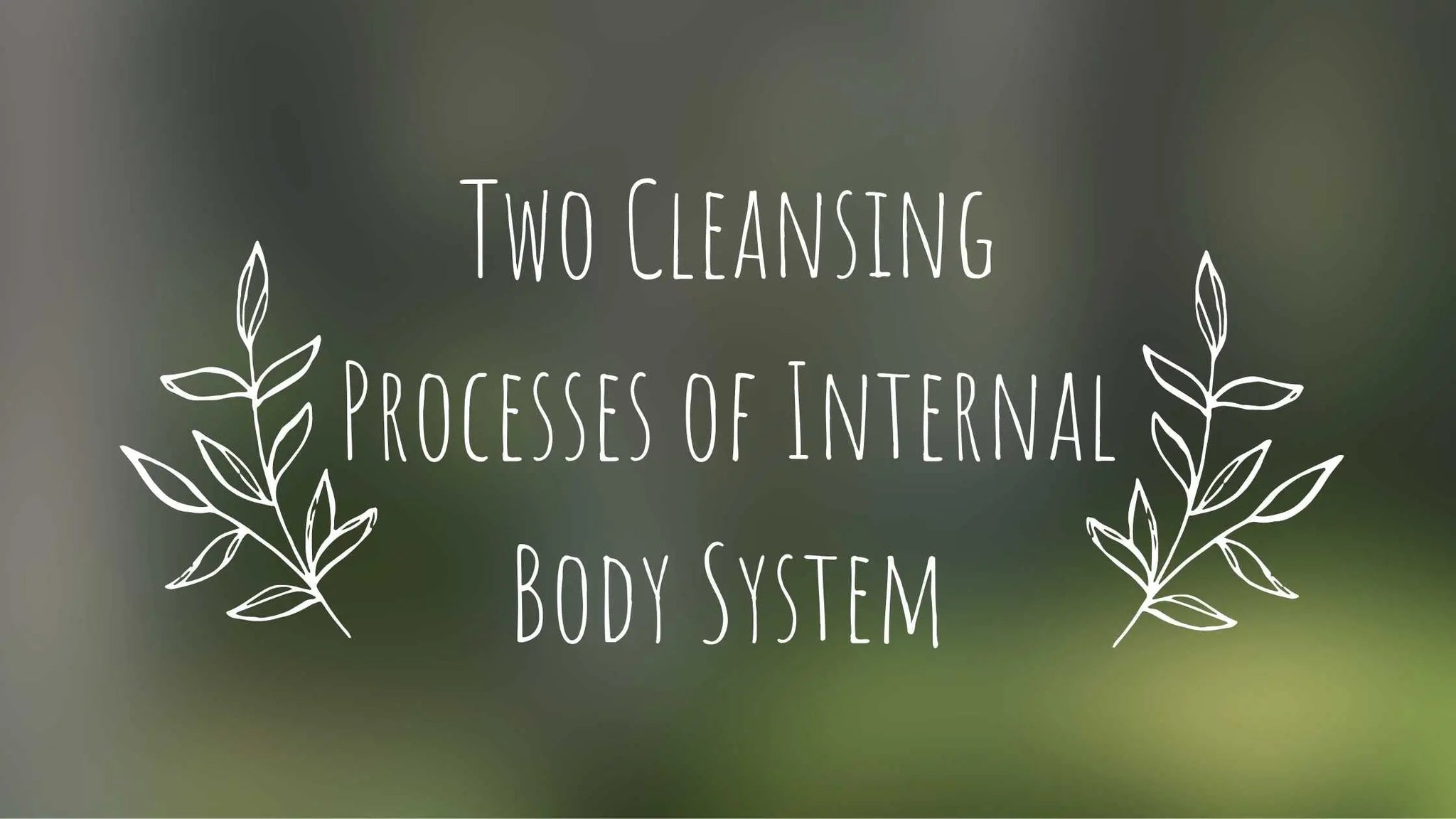 Two-Cleansing-Processes-of-Internal-Body-System Bilvam Jaganmaata Herbals Pvt. Ltd.