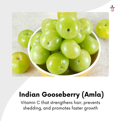 Herbal Hair Pack - Where Luxury Meets Healthy Hair - 100 g e 3.53 oz. Bilvam Herbals