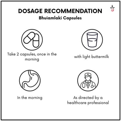 Alcohol Detox Kit - Support for Liver Health After Alcohol Use - Protect. Cleanse. Recover. Bilvam Jaganmaata Herbals Pvt. Ltd.