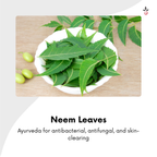 Neem Herbal Bathing Powder - Luxury Ayurvedic Skincare for Radiant, Acne-Free Skin - 100 g e 3.53 oz. Bilvam Herbals