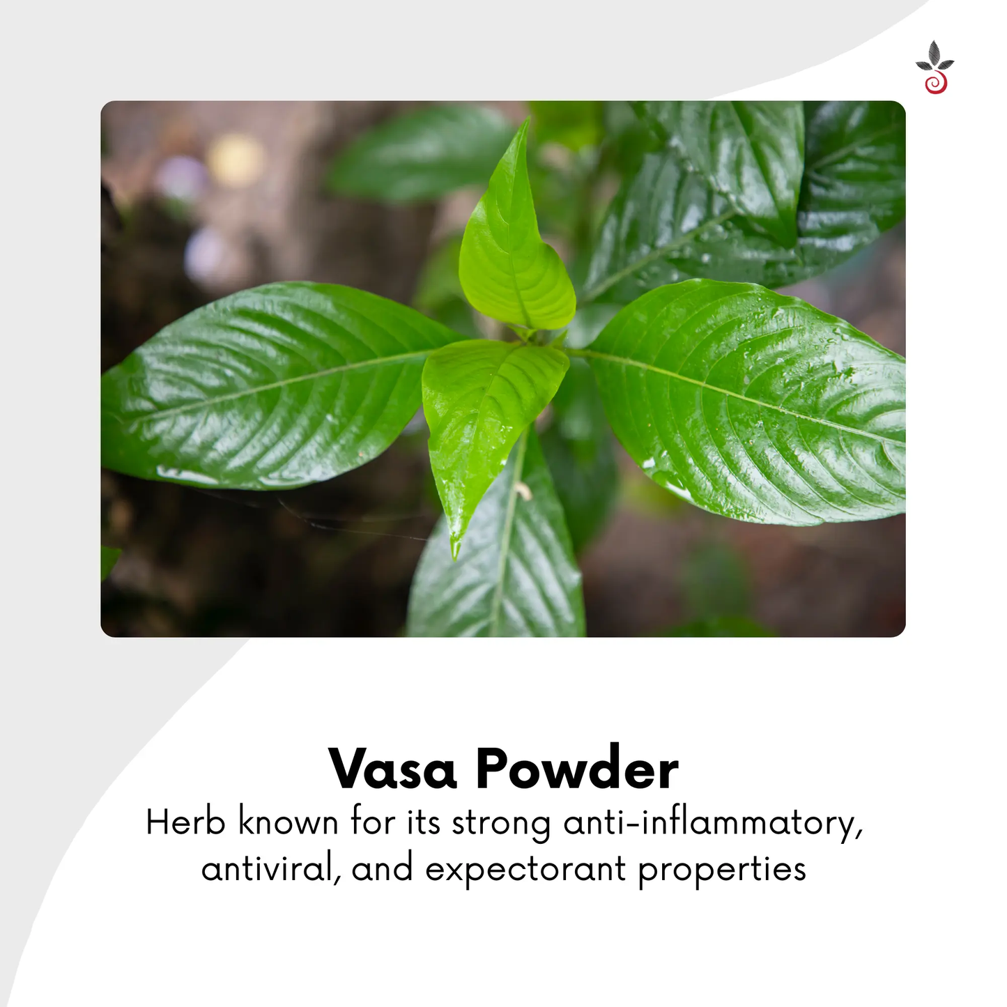 Vasa Powder - 100 g e 3.53 oz. Bilvam Herbals