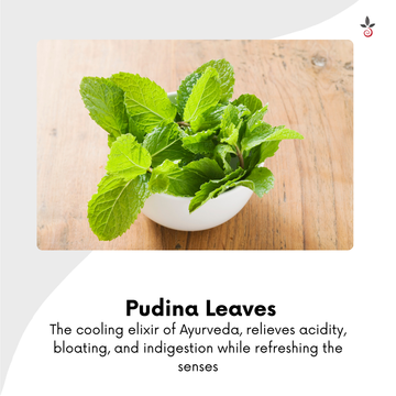 Pudina Saunf Tulasi Capsules - The Ayurvedic Secret to a Calm, Balanced Gut - 120N