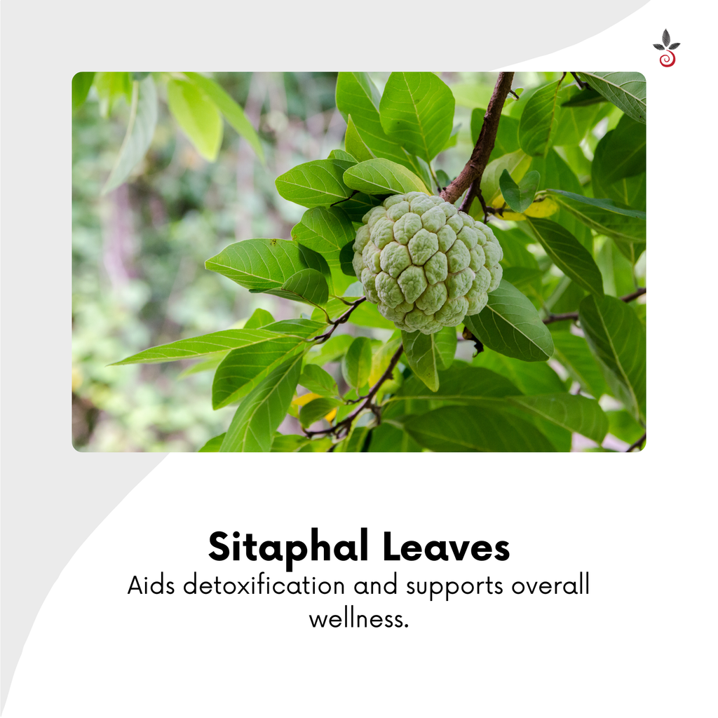 Tulasi Sitaphal Bael Capsules - Find Your Inner Calm, Naturally -  120N Bilvam Jaganmaata Herbals Pvt. Ltd.