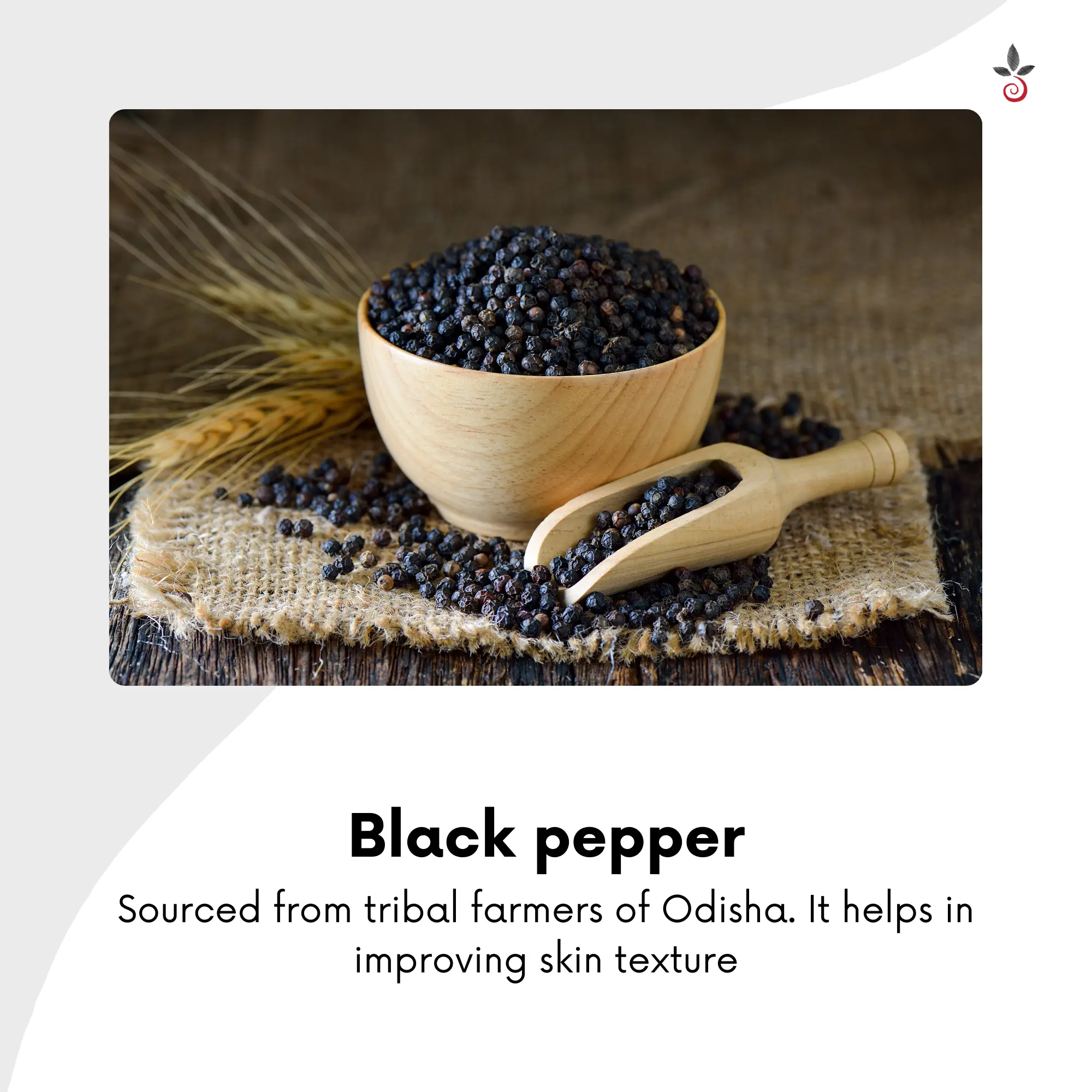 Turmeric Blend with Aromatic Spices - 100 g e 3.53 oz. Bilvam Herbals