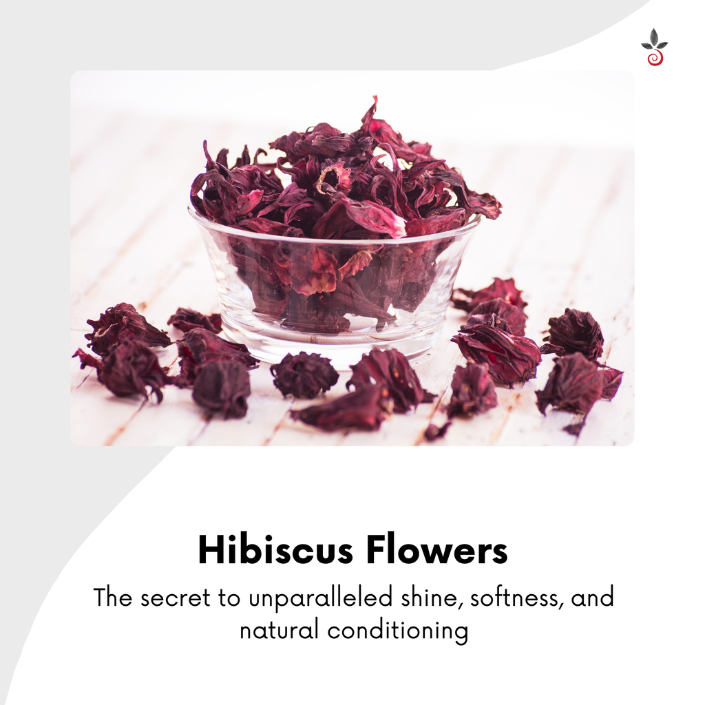 Herbal Hair Oil - Exquisite Nourishment for Timeless Hair - 120 ml e 4.06 fl. oz. Bilvam Jaganmaata Herbals Pvt. Ltd.