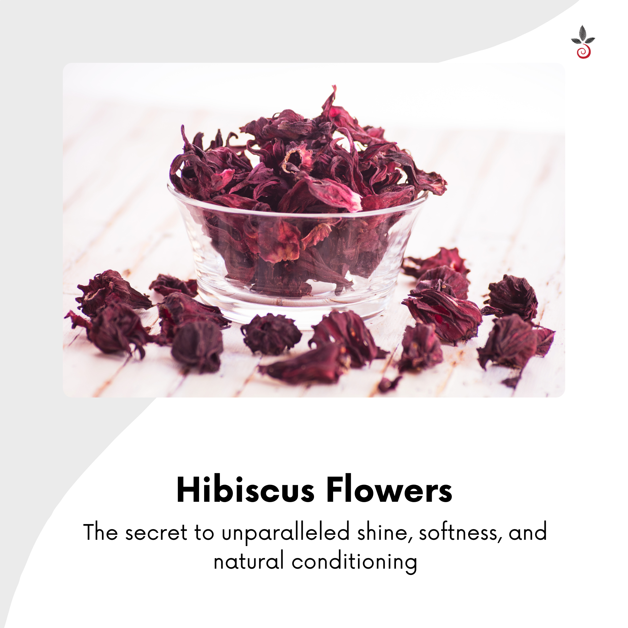 Herbal Hair Oil - Exquisite Nourishment for Timeless Hair - 120 ml e 4.06 fl. oz. Bilvam Jaganmaata Herbals Pvt. Ltd.