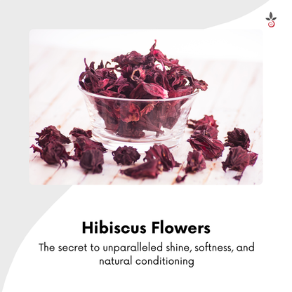 Herbal Hair Oil - Exquisite Nourishment for Timeless Hair - 120 ml e 4.06 fl. oz. Bilvam Jaganmaata Herbals Pvt. Ltd.