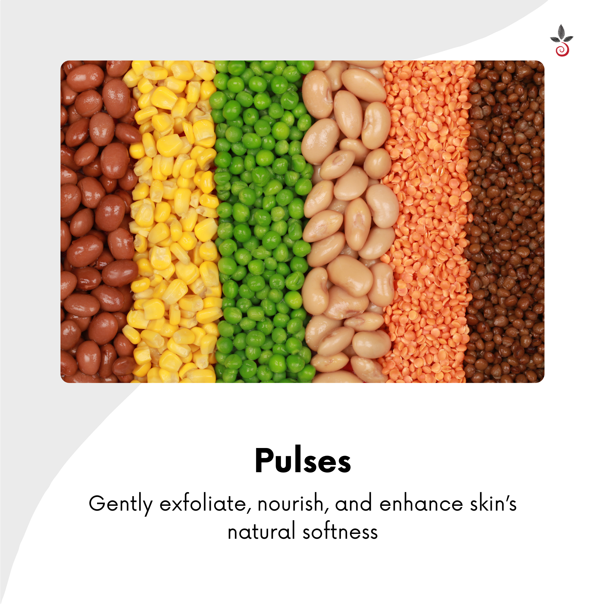 Orange Peel Herbal Bathing Powder - Experience Timeless Freshness & Radiance - 100 g e 3.53 oz. Bilvam Herbals