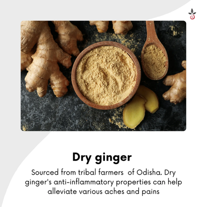 Turmeric Blend with Aromatic Spices - 100 g e 3.53 oz. Bilvam Herbals