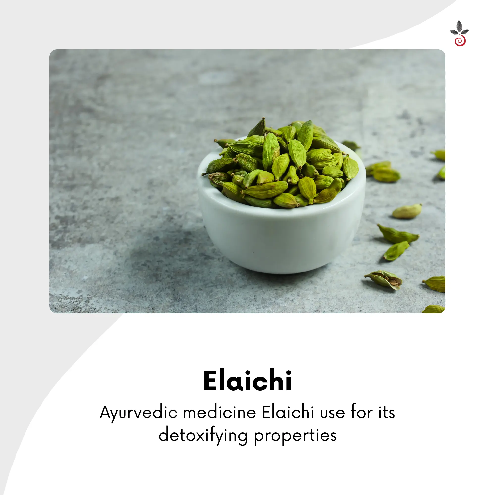 Tulasi Turmeric Blend - The Ancient Secret to Immunity &amp; Pain Relief - 100g e 3.53 oz. Bilvam Herbals