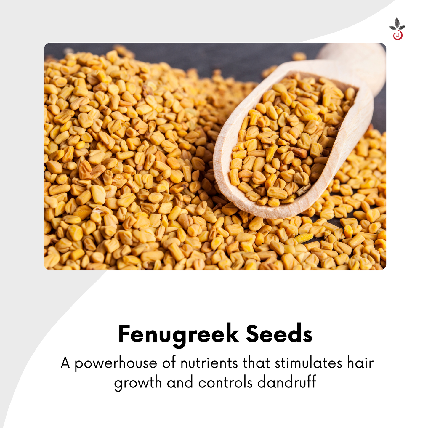 Herbal Hair Oil - Exquisite Nourishment for Timeless Hair - 120 ml e 4.06 fl. oz. Bilvam Jaganmaata Herbals Pvt. Ltd.