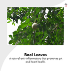 Tulasi Sitaphal Bael Capsules - Find Your Inner Calm, Naturally -  120N Bilvam Jaganmaata Herbals Pvt. Ltd.