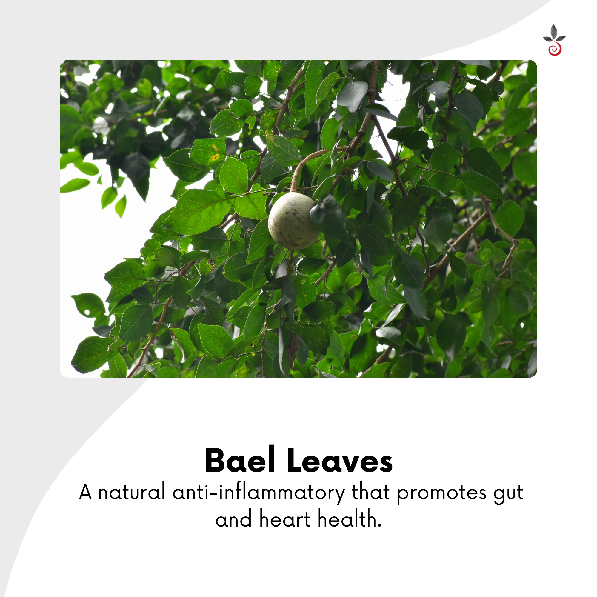 Tulasi Sitaphal Bael Capsules - Find Your Inner Calm, Naturally -  120N Bilvam Jaganmaata Herbals Pvt. Ltd.