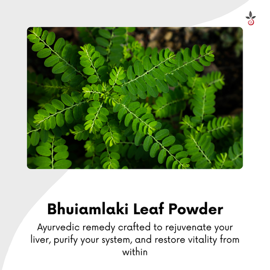 Bhuiamlaki Capsules - Your Liver’s Best Ally - Liver Health - 120N Bilvam Jaganmaata Herbals Pvt. Ltd.