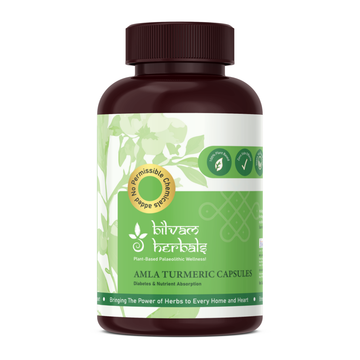 Amla Turmeric Capsules - Ayurvedic Excellence for Diabetes & Nutrient Absorption - 120N