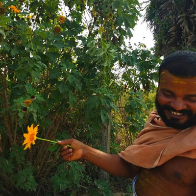Shri Dandapani Sashthrigaru