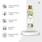 Hair Care Kit - The Secret to Luscious, Timeless Hair Bilvam Jaganmaata Herbals Pvt. Ltd.