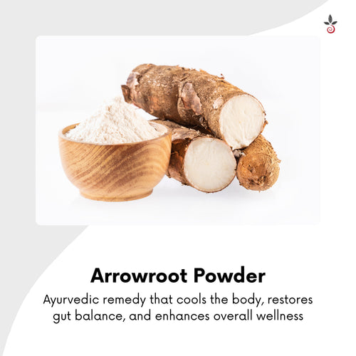 Arrowroot Powder - The Cooling Elixir for Gut & Body Harmony - 100 g e 3.53 oz. Bilvam Herbals