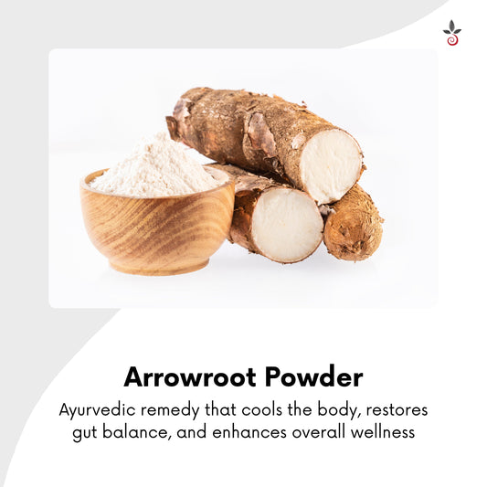 Arrowroot Powder - The Cooling Elixir for Gut & Body Harmony - 100 g e 3.53 oz. Bilvam Herbals