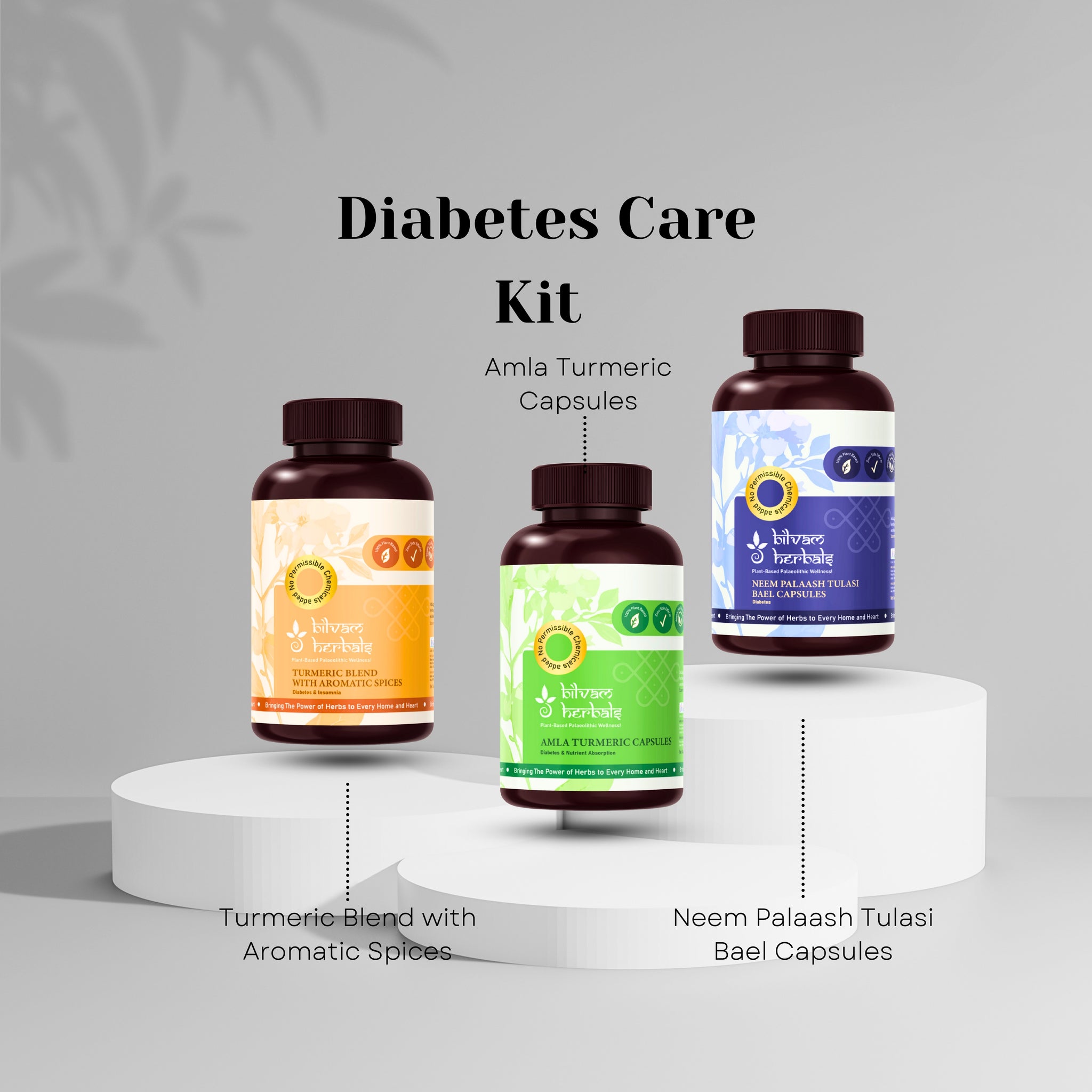 Diabetes Care Kit – A Premium Ayurvedic Wellness Experience
