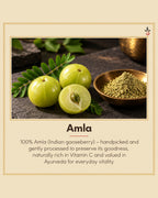 Amla Turmeric Capsules – 120 Capsules Bilvam Herbals