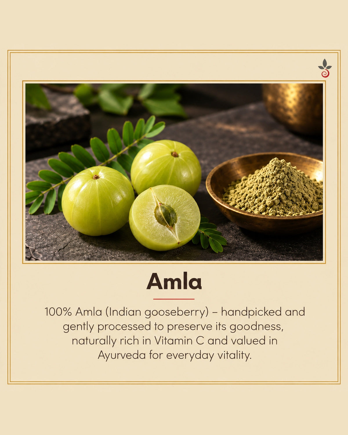 Amla Turmeric Capsules – 120 Capsules Bilvam Herbals