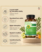 Amla Turmeric Capsules – 120 Capsules Bilvam Herbals