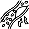 Cholesterol Balance