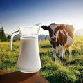 Gir Cow Milk