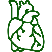 Heart Health