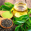 Herbal Infusion Extracts
