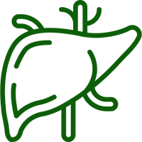 Liver Care