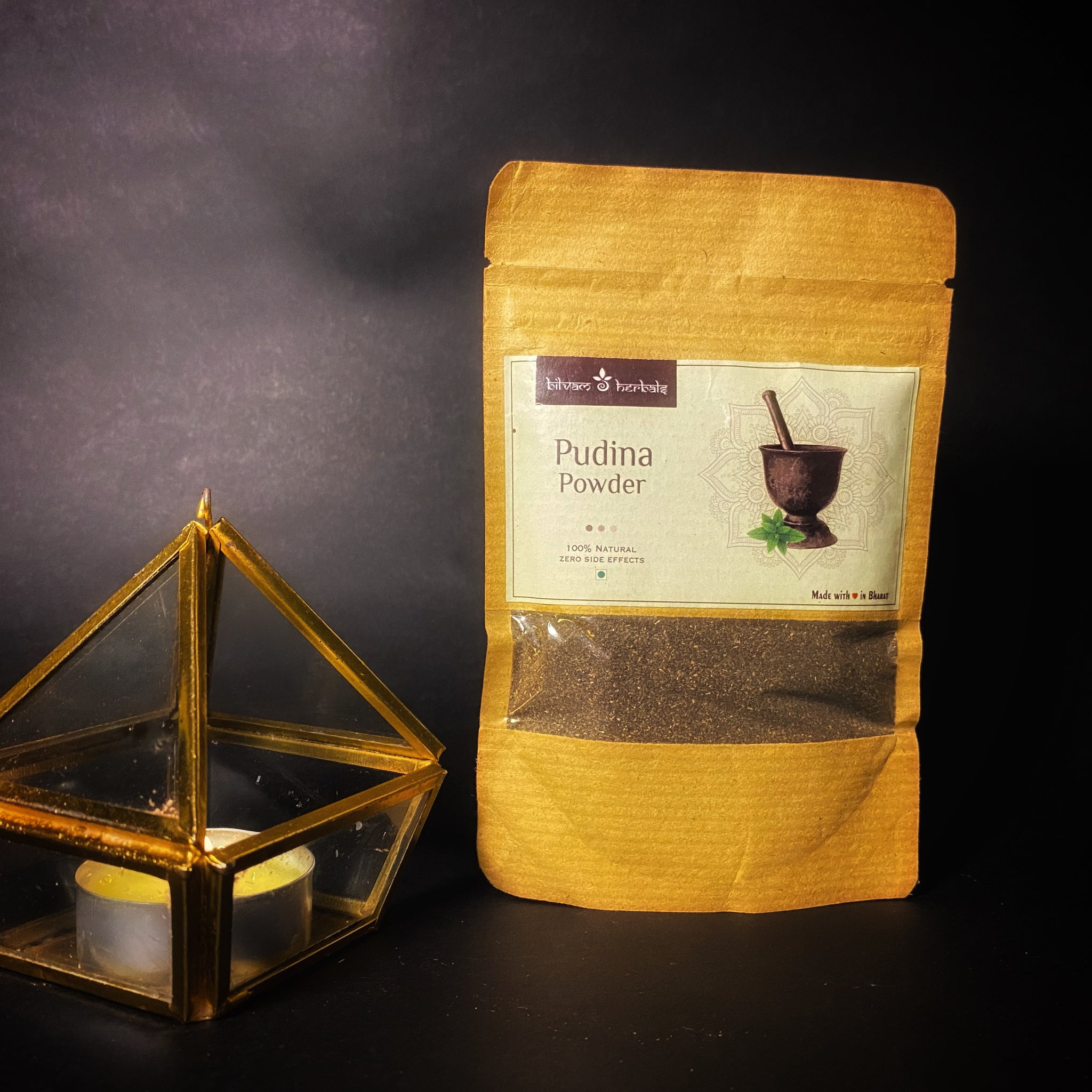 Pudina Powder
